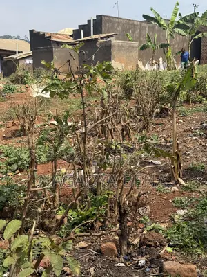 Plot for Sell at Bakka Wakiso District Next to Bakka Police Station