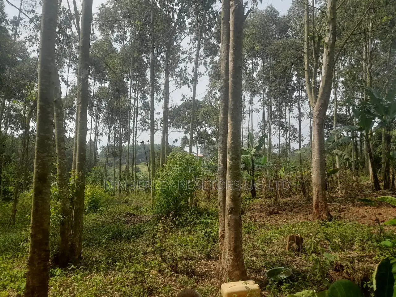Land for Sale – Kalagala