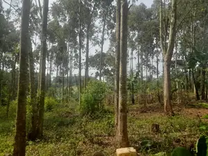 Land for Sale – Kalagala