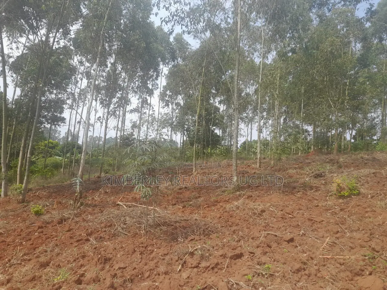 Land for Sale – Kalagala