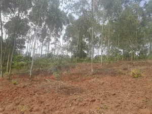 Land for Sale – Kalagala
