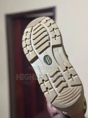 Earthworks Safety Shoe