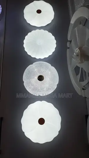 Led Ceiling Light