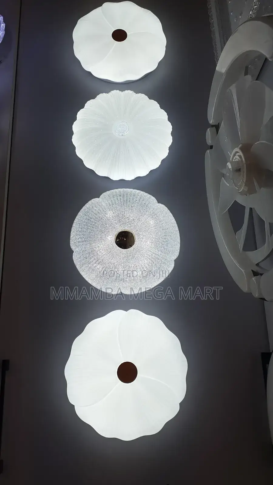 Led Ceiling Light