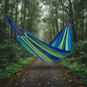 Outdoor Camping Hammock With Travel Backpacks Setup