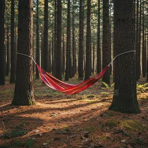 Outdoor Camping Hammock With Travel Backpacks Setup