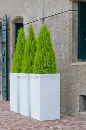 Outdoor Natural Flowers