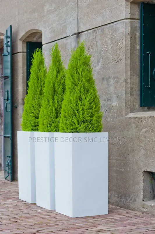 Outdoor Natural Flowers