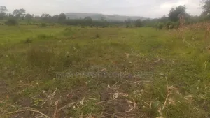 Land of Title