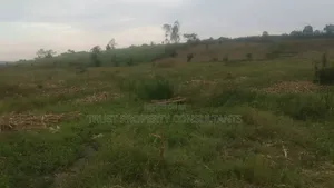 Land of Title