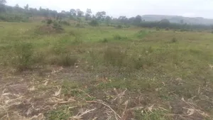 Land of Title