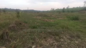 Land of Title
