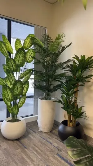 Flower Vases and Plants