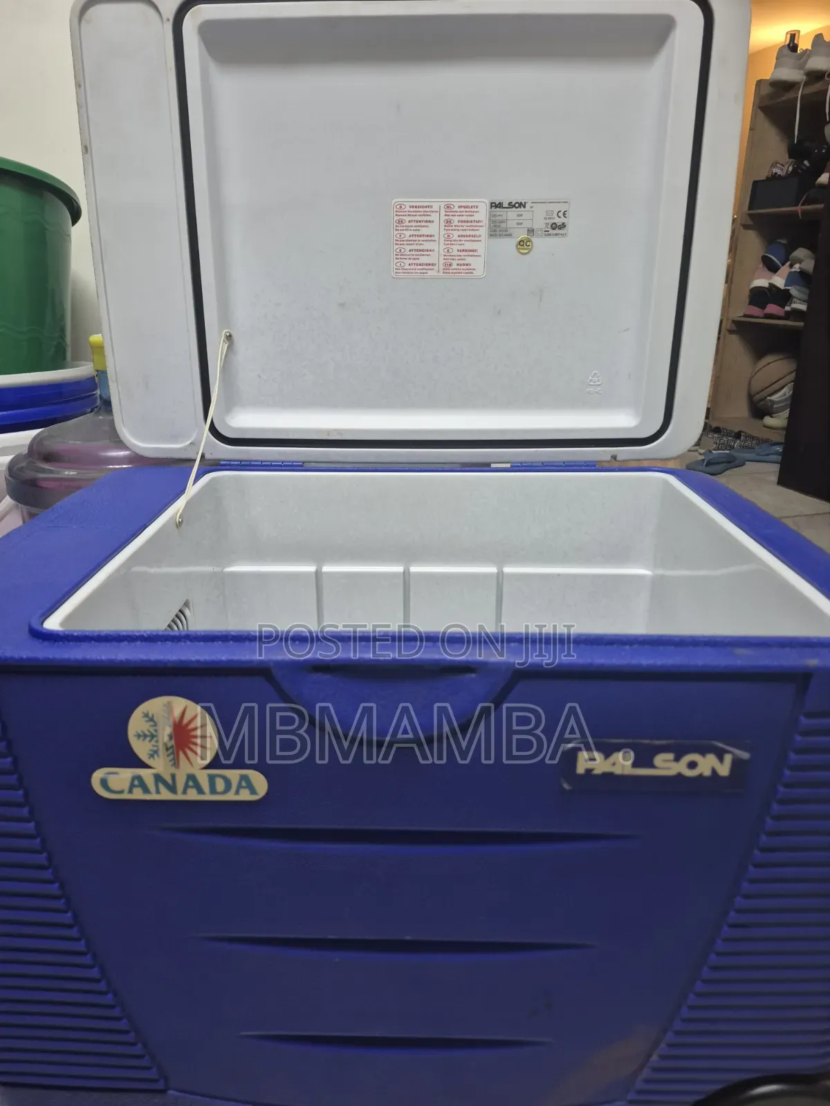 Electric Cooler Box