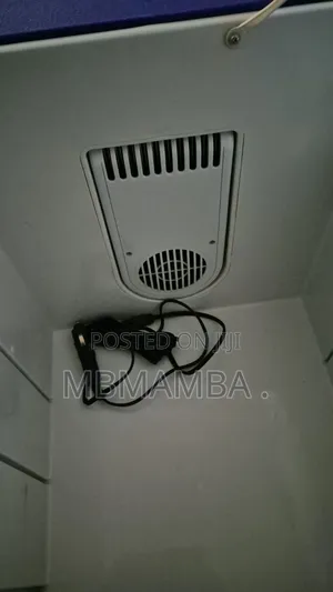 Electric Cooler Box