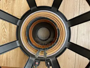 3000Watts 18” Double Coil Outdoor Line Array Woofer. Buyer Recones