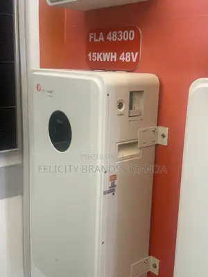 15kwh Fantastic Felicity Battery 48v