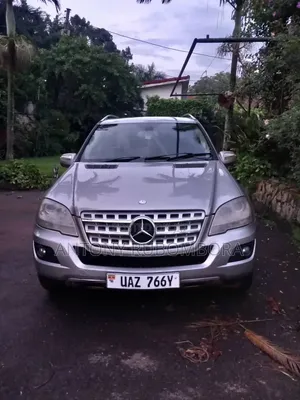 Mercedes-Benz M Class 2009 Silver