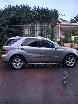 Mercedes-Benz M Class 2009 Silver