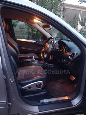Mercedes-Benz M Class 2009 Silver