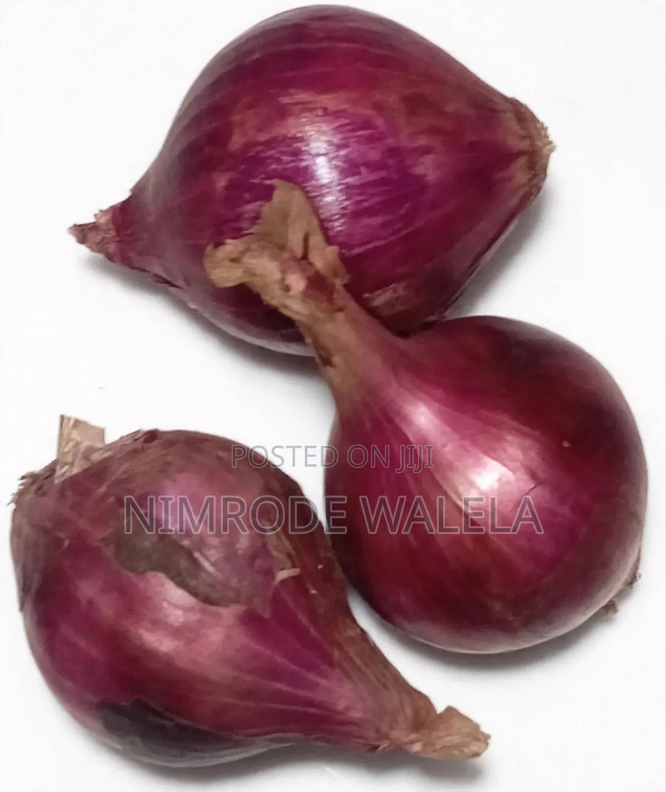 Fresh Onions
