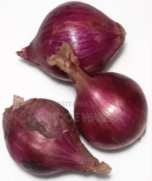 Fresh Onions