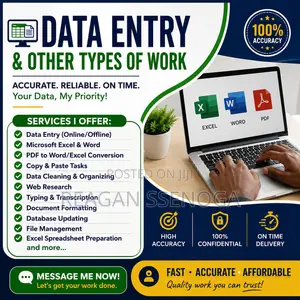 Professional Data Entry Virtual Assistant Services