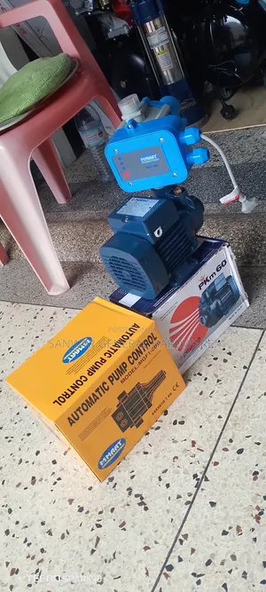 Automatic Pump Controller and Pedrollo Surface Pump(0.5hp)