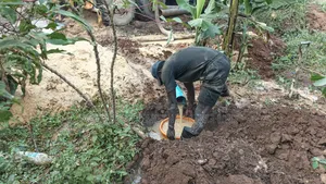 Borehole Drilling