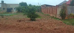 50by100 Kikoko Land