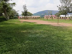 Land With a School on It