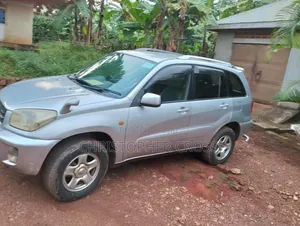 Toyota RAV4 2009 Gray