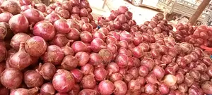 Marketing Very Big Onions and Dry