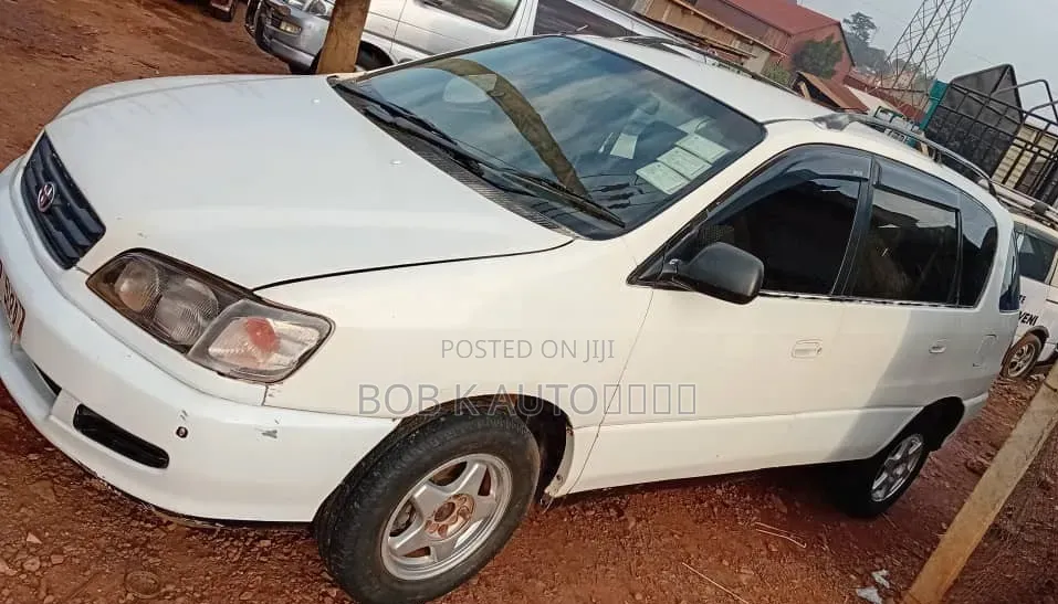 Toyota Ipsum 1998 White