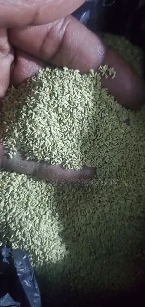 Compound Grass Seeds