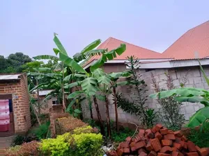 3bdrm Apartment in Luwero TC for sale