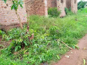 3bdrm Apartment in Luwero TC for sale
