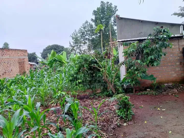 3bdrm Apartment in Luwero TC for sale