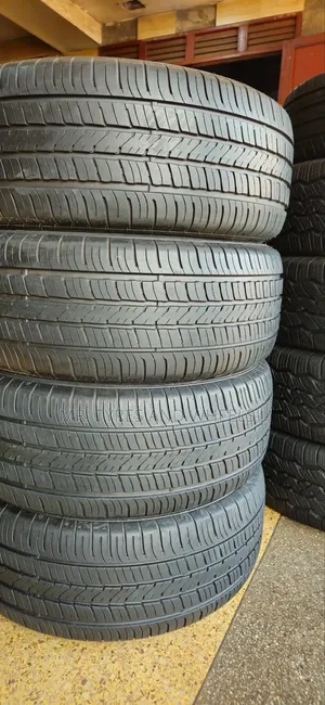265 55 R19 Dunlop Grand Trek Those With 19 Insh Rim Cam and Upgrade.