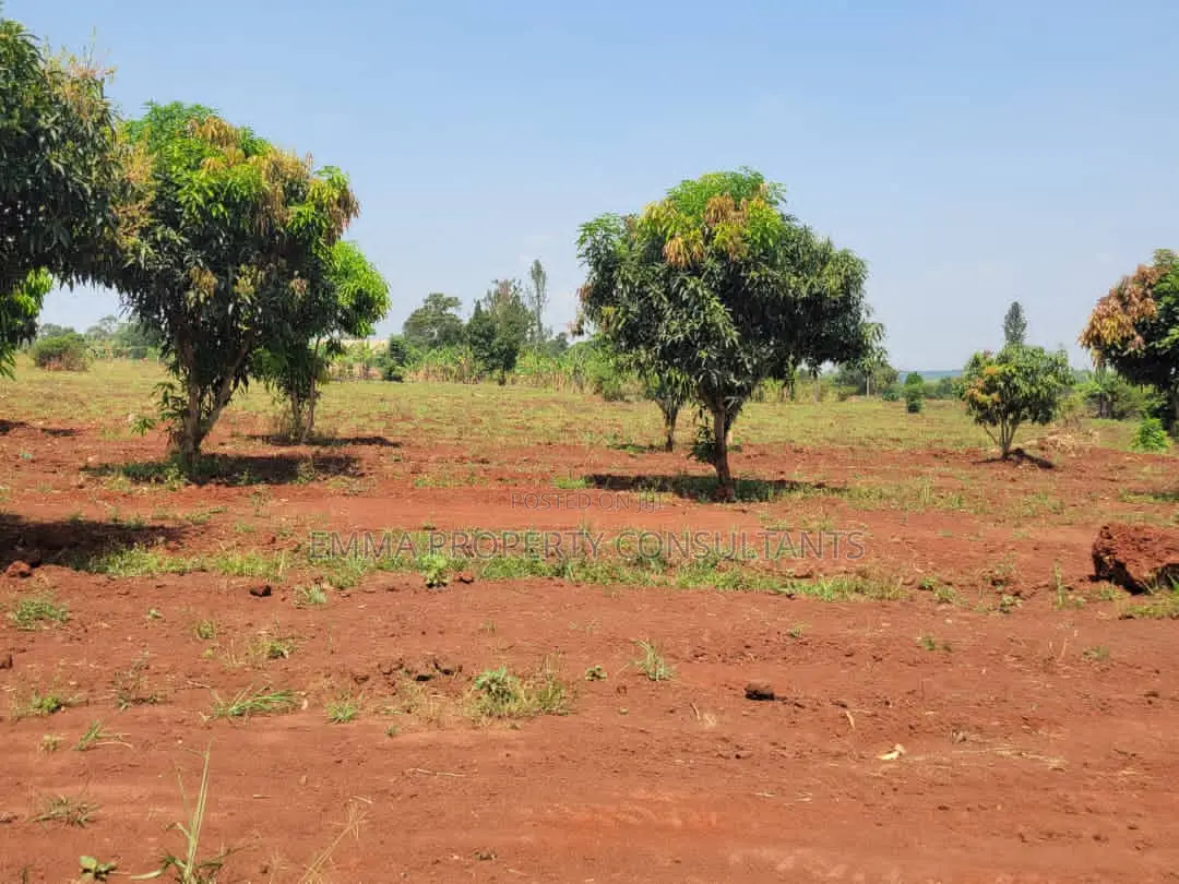 Mukono Kisoga Town Estate