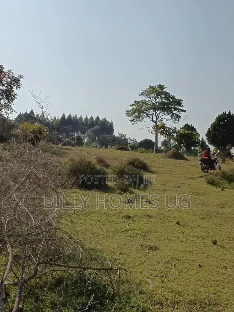 Lake Front Land for Sale Located in Buwaya-Entebbe