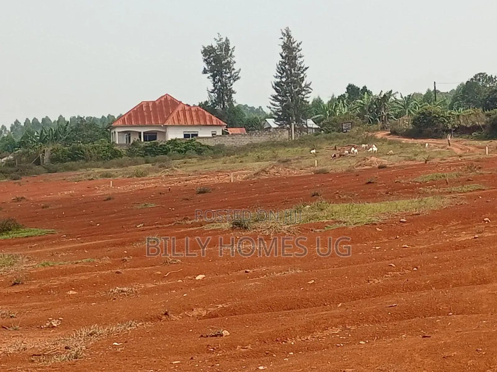Plots for Sale Located in Kitende-Kitovu