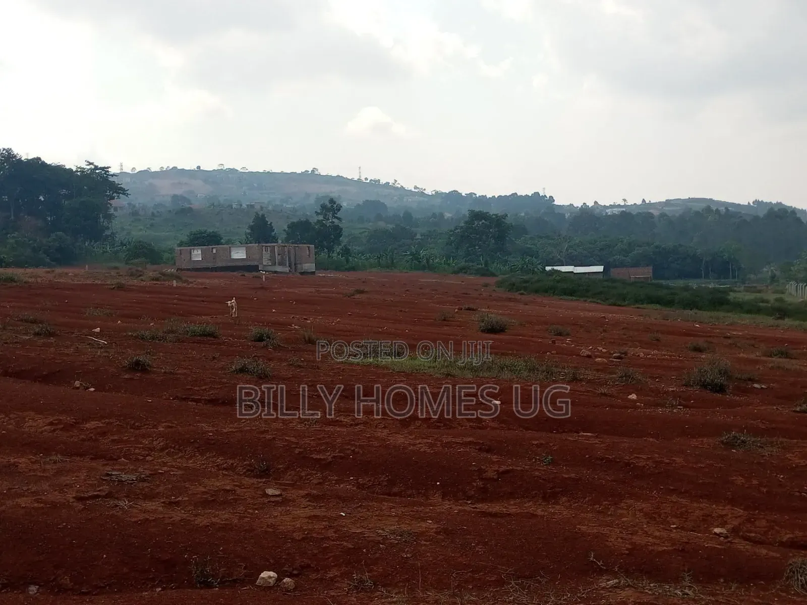 Plots for Sale Located in Kitende-Kitovu