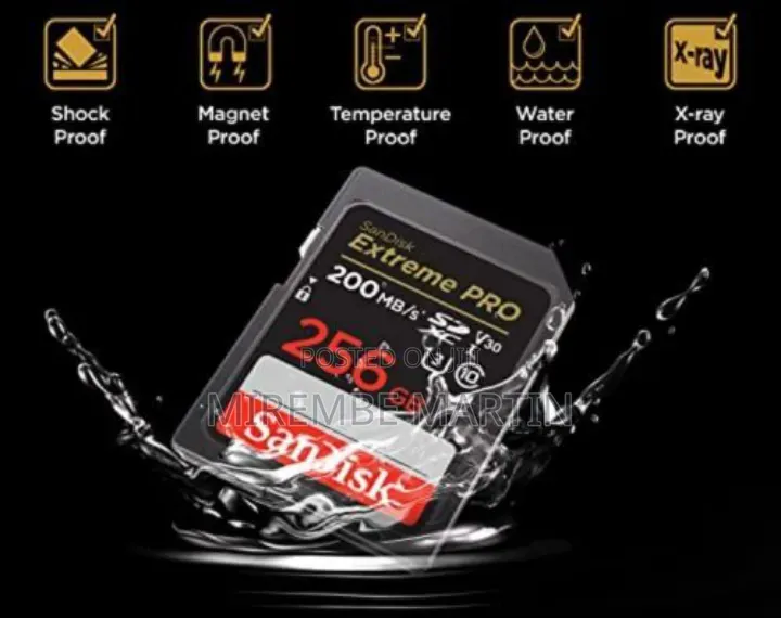 Sandisk 256gb Extreme Pro SDXC Uhs-I Memory Card - C10, U3, V30, 