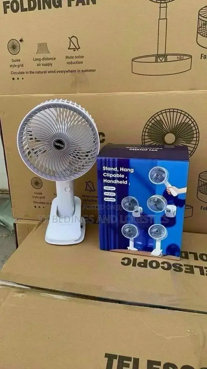 Mini Hand Fans