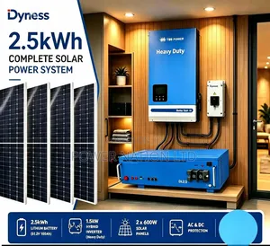 2.5kwh 1.5kva 12v Dyness Hybrid Solar System
