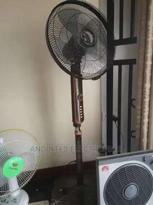 Original Stand Fan