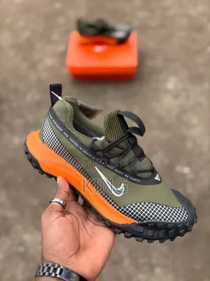 Nike ACG Mountain Fly Gore-Tex Shoes