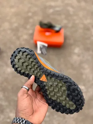 Nike ACG Mountain Fly Gore-Tex Shoes