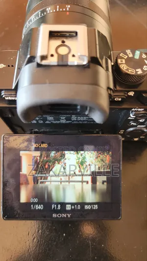 Sony A7S Mirrorless Camera